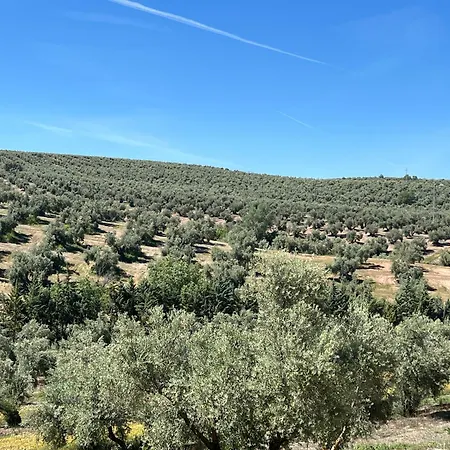 Hotell Rural Del Cordobes 3*