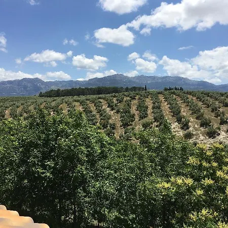 Rural Del Cordobes 3*